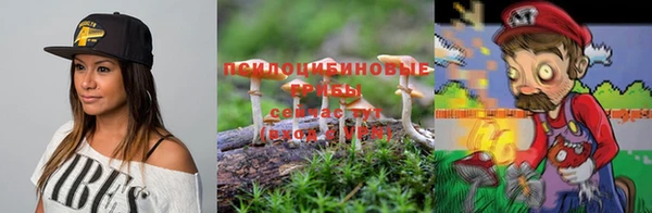 гидропоника Саяногорск