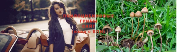 гидропоника Сатка