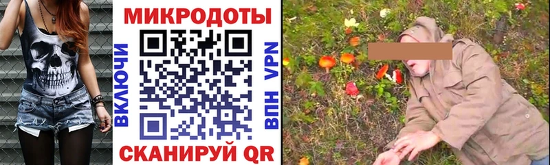 Галлюциногенные грибы Psilocybe  Купить закладки  Белоусово 
